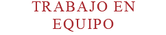 TRABAJO EN EQUIPO